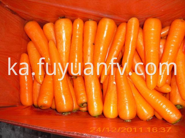 Carrot